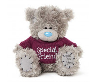 Мишка Тедди MTY  в футболке Special Friend