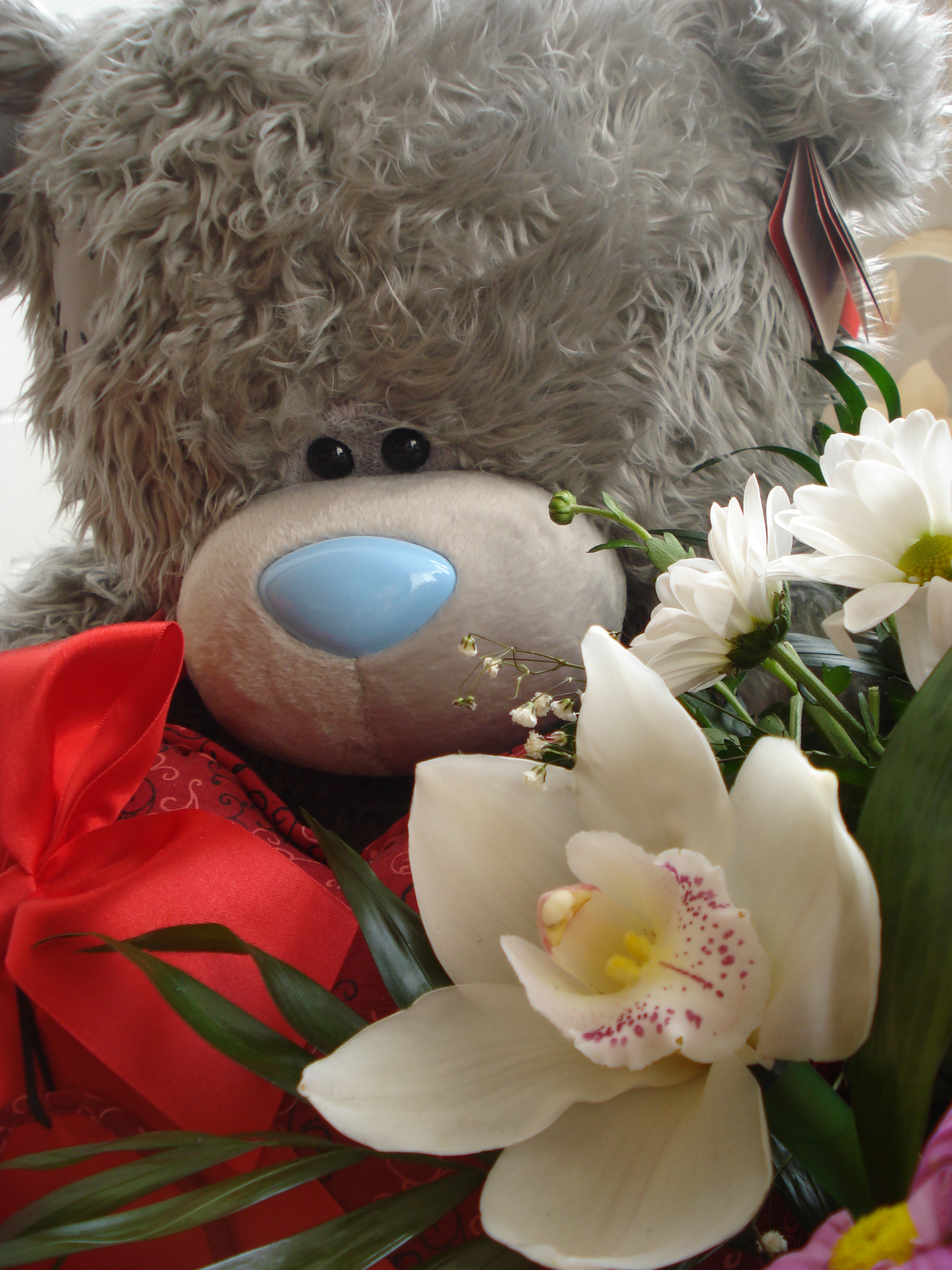 Мишка Тедди на День Влюбленных / День Святого Валентина